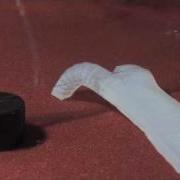 Soft Robot Walking And Crawling