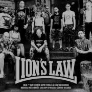 Lion S Law Knock Em Out
