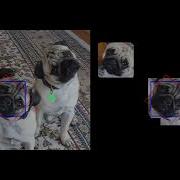 Fast Screening Algorithm For Template Matching