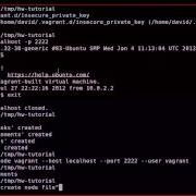 Cooking Perl With Chef Hello World Demonstration