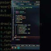 Amazing Flower Design Using Turtle In Python VS Code Shorts Python