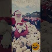 The Funniest Dog Christmas Fails You Won T Believe Actually Happened