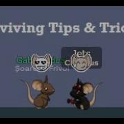 How To Get Better In Surviving Couple Tips Tricks Transformice