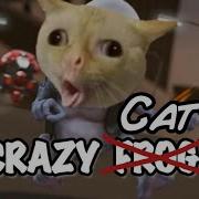 I Put Cats To Crazy Frog Axel F