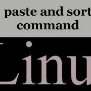 Linux Command Part 7 A Paste And Sort Command