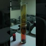 Diffusion Of Bromine