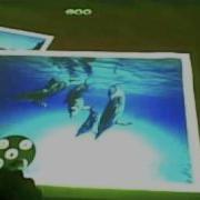 Didactic Highlighter Multi Touch And Tangible User Interface