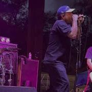 Stick To Your Guns Keep Planting Flowers Live In Tampa FL 3 30 25