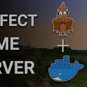 I Built The PERFECT Game Server With Pterodactyl And Docker