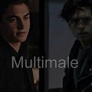 Multimale Renegade