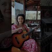 Funda Arar Alagül Cover