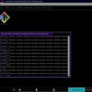 BINARY HEX DUMP