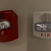 Basement Fire System Test 18 Simplex Truealert Horn Strobes