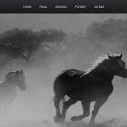 Create A Navigation Bar With Flexbox Navbar CSS Tutorial