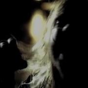 The Used The Bird And The Worm Video