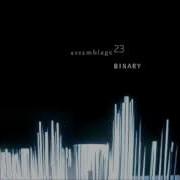 Assemblage 23 Binary Club Remix Lyrics