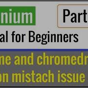 Chrome Browser And ChromeDriver Version Mismatch Issue Resolved Selenium Tutorial Part 6