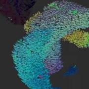 OpenCL Boid Simulation