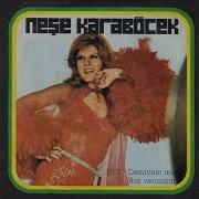 Neşe Karaböcek Boş Vermişim