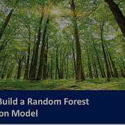 How To Build A Random Forest Regression Model In A Jupyter Notebook