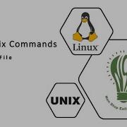 6 Sorting A File Linux Unix Commands Sort