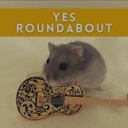 Roundabout Yes INSTRUMENTAL Arrangement