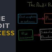 The Audit Process