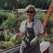 Solarizing Your Garden Bed To Eliminate Nematodes Master Gardeners How To