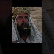 Are There Any Women Monty Python Life Of Brian Movie Montypython Comedy Funny
