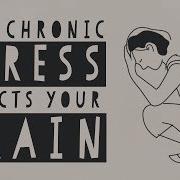 How Stress Affects Your Brain Madhumita Murgia