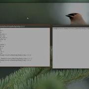 Installation Of Ruby Rvm And Rails