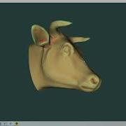 VTK Example Curvatures Cxx