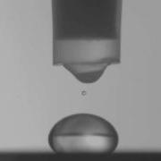 Water Droplet Impact