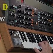 Behringer POLY D Review Tutorial And Patch Ideas Auto Damp Explained