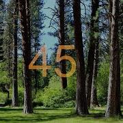 45 Second Timer Kitchen Timer And Cooking 45 Secondi Countdown Timer