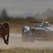 Drag Race Formula E Car Vs Cheetah