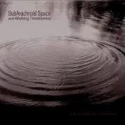 Subarachnoid Space Walking Timebombs Untitled Hidden Track
