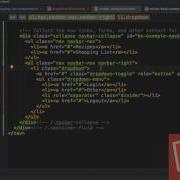 48 Angular 2 The Complete Guide Final Version Custom Dropdown Directive Learning Now 01