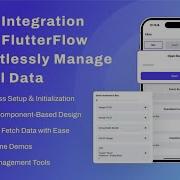 No Firebase No Problem Use Hive For Local Storage In FlutterFlow No Code Tutorial