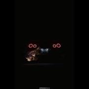 Dennis Lloyd Nevermind BASS BOOSTED