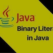 4 4 Binary Literal In Java