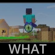 WAIT WHAT Minecraft 34