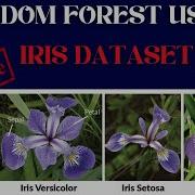 Example Of Machine Learning Classification Technique On Iris Dataset Using Random Forest
