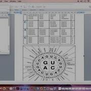 Codon Chart And Wheel