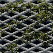 Revit Tutorial How To Create Adaptive Curtain Wall With Multiple Attractors Facade