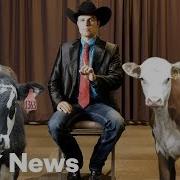 What The Hell Are Livestock Auctioneers Actually Saying