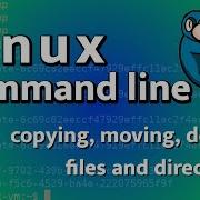 LCL 05 Copying Moving And Deleting Files Linux Command Line Tutorial For Forensics