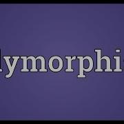 Polymorphism Meaning