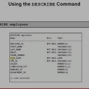 Describe Command