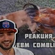 РЕАКЦИЯ ПАВЕРА НА Dank WebM Compilation 59